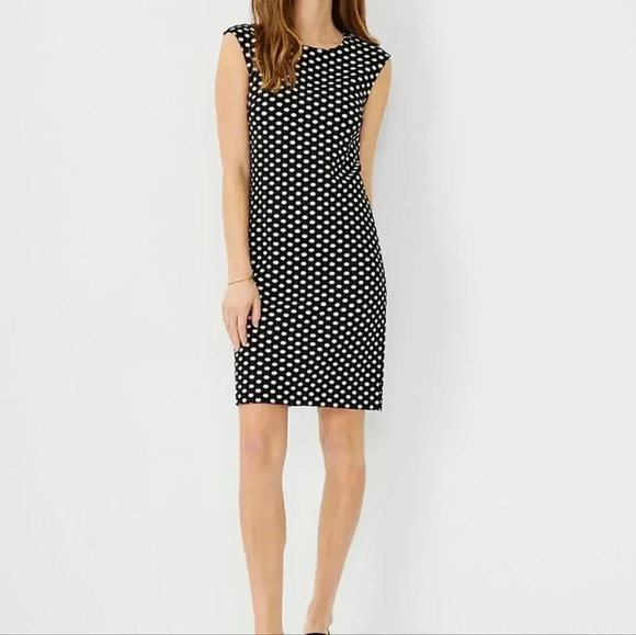 Ann Taylor Dresses & Skirts - Ann Taylor Polka Dot Shift Dress Size 4P